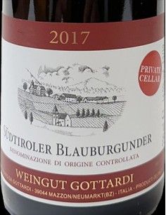 Alto Adige DOC Pinot Noir 'Mazzon Private Cellar' 2017 (750 ml.) Gottardi Gottardi - 1 2