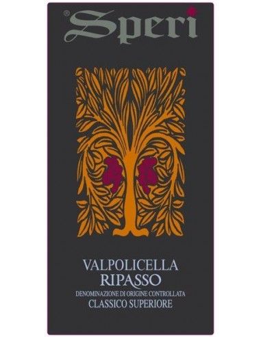 Valpolicella Ripasso Classico DOC Superiore 2022 (750 ml.) Speri Speri - 2