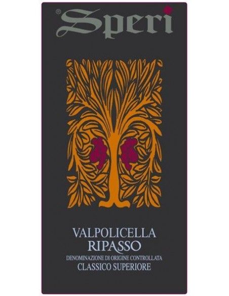 Valpolicella Ripasso Classico DOC Superiore 2022 (750 ml.) Speri Speri - 2
