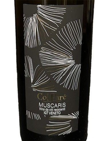 Veneto IGT 'Muscaris' 2023 (750 ml.) Col Pare' Col Pare' - 2