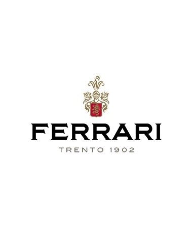 Trentodoc Brut 'Giulio Ferrari Riserva del Fondatore' 2015 (750 ml. deluxe Geschenkbox) Ferrari Ferrari - 5