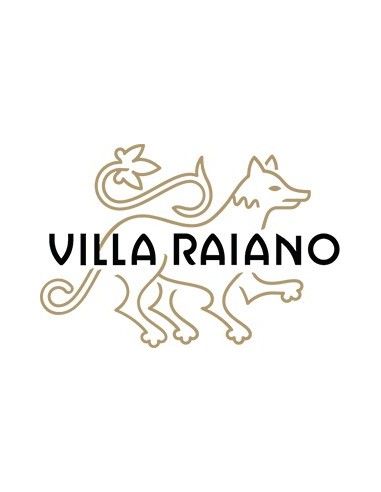 Fiano di Avellino DOCG 'Ventidue' 2020 (750 ml.) Villa Raiano Villa Raiano - 3