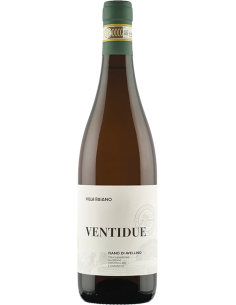 Fiano di Avellino DOCG 'Ventidue' 2020 (750 ml.) Villa Raiano Villa Raiano - 1