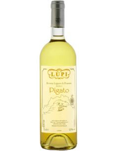 Riviera Ligure di Ponente DOC Pigato 2023 (750 ml.) Lupi Lupi - 1