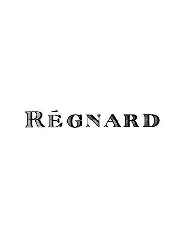 Chablis AOC 'Grand Regnard' 2023 (750 ml.) Regnard Regnard - 3