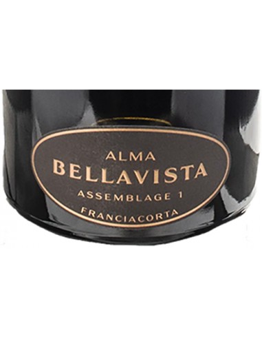 Franciacorta DOCG Extra Brut 'Alma Assemblage 1' (750 ml.) Bellavista Bellavista - 2