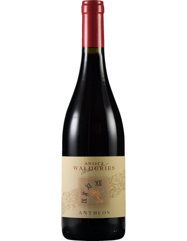 Santa Maddalena Classico DOC 'Antheos' 2023 (750 ml.) Waldgries Waldgries - 1