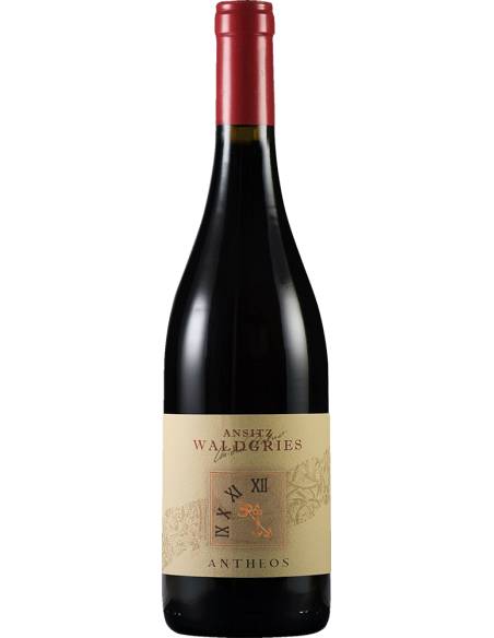 Santa Maddalena Classico DOC 'Antheos' 2023 (750 ml.) Waldgries Waldgries - 1
