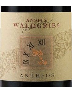 Santa Maddalena Classico DOC 'Antheos' 2023 (750 ml.) Waldgries Waldgries - 1 2