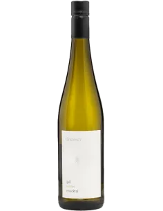 Alto Adige DOC Kerner 'Gall' 2023 (750 ml.) Griesserhof Griesserhof - 1