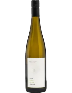Alto Adige DOC Gruner Veltliner 'Rigger' 2022 (750 ml.) Griesserhof Griesserhof - 1