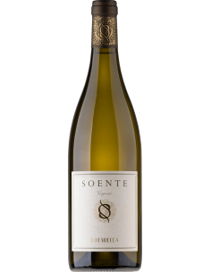 Lazio Viognier IGP 'Soente' 2023 (750 ml.) Famiglia Cotarella Cotarella - 1
