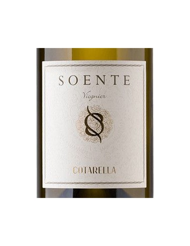 Lazio Viognier IGP 'Soente' 2023 (750 ml.) Famiglia Cotarella Cotarella - 2