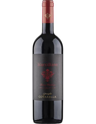 Umbria Rosso IGP 'Marciliano' 2019 (750 ml.) Famiglia Cotarella Cotarella - 1