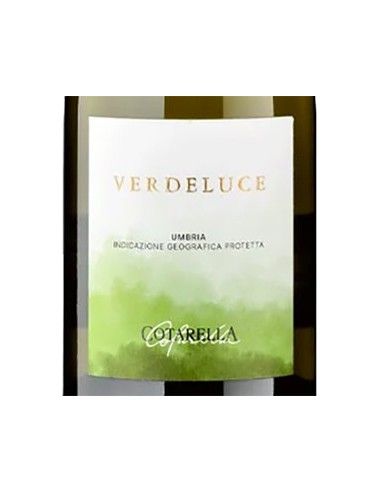 Umbria Bianco IGP 'Verdeluce' 2023 (750 ml.) Famiglia Cotarella Cotarella - 2