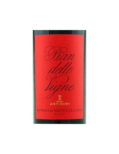 Rosso di Montalcino DOC 'Pian delle Vigne' 2023 (750 ml.) Antinori Antinori - 2