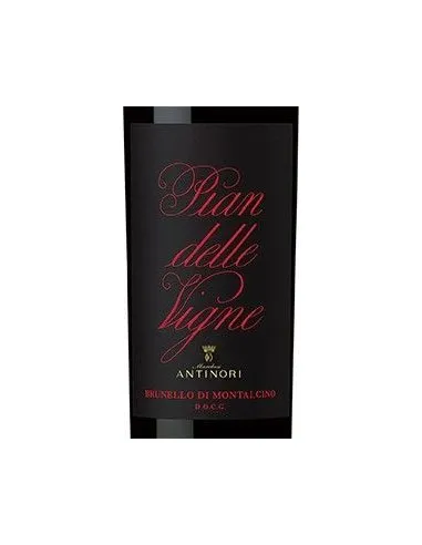 Brunello di Montalcino DOCG 'Pian delle Vigne' 2020 (750 ml.) Antinori Antinori - 2