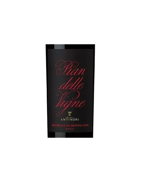 Brunello di Montalcino DOCG 'Pian delle Vigne' 2020 (750 ml.) Antinori Antinori - 2