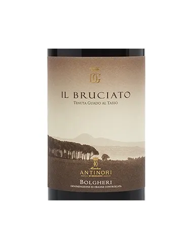 Bolgheri Rosso DOC 'Il Bruciato' 2023 (750 ml.) Antinori Antinori - 2