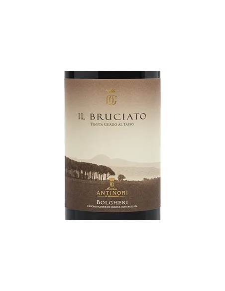 Bolgheri Rosso DOC 'Il Bruciato' 2023 (750 ml.) Antinori Antinori - 2