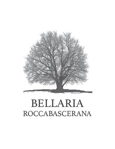 Irpinia DOC Falanghina 2024 (750 ml.) Bellaria Bellaria - 3