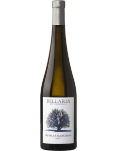 Irpinia Falanghina DOC 2024 (750 ml.) Bellaria Bellaria - 1