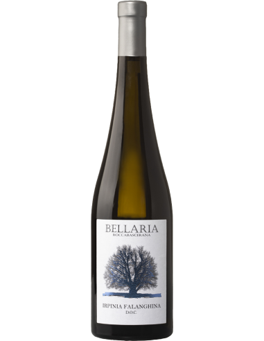 Irpinia DOC Falanghina 2024 (750 ml.) Bellaria Bellaria - 1