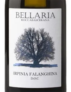 Irpinia DOC Falanghina 2024 (750 ml.) Bellaria Bellaria - 1 2