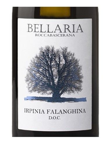 Irpinia DOC Falanghina 2024 (750 ml.) Bellaria Bellaria - 2