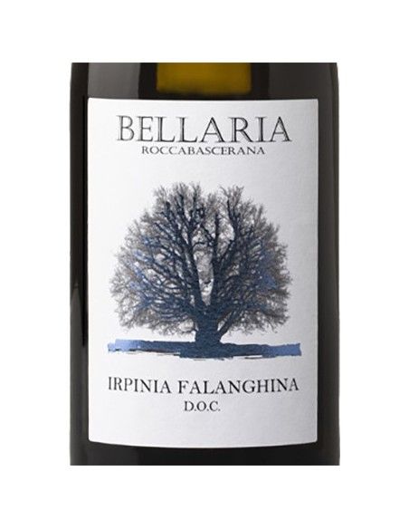 Irpinia DOC Falanghina 2024 (750 ml.) Bellaria Bellaria - 2