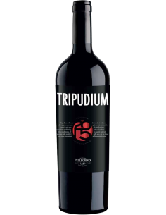 Terre Siciliane Nero d'Avola IGT 'Tripudium' 2022 (750 ml.) Pellegrino Pellegrino - 1