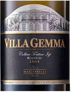 Abruzzo Bianco DOC 'Villa Gemma' 2024 (750 ml.) Masciarelli Masciarelli - 1 2