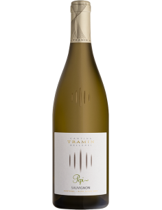 Alto Adige DOC Sauvignon Blanc 'Pepi' 2023 (750 ml.) Cantina Tramin Tramin - 1