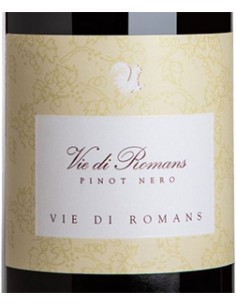 Friuli Isonzo DOC Pinot Noir 2020 (750 ml.) Vie dei Romans Vie di Romans - 1 2