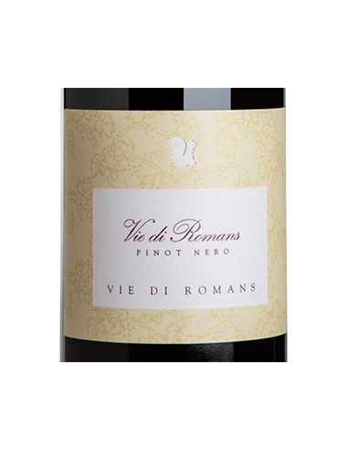 Friuli Isonzo DOC Pinot Nero 2020 (750 ml.) Vie di Romans Vie di Romans - 2