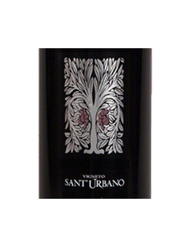 Valpolicella Classico Superiore DOC 'Sant'Urbano' 2021 (750 ml.) Speri Speri - 2