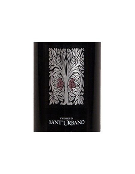 Valpolicella Classico Superiore DOC 'Sant'Urbano' 2021 (750 ml.) Speri Speri - 2