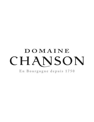 Nuits-Saint Georges AOC Pinot Noir 2023 (750 ml.) Domaine Chanson Chanson - 3