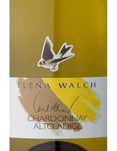 Alto Adige DOC Chardonnay 'Cardellino' 2024 (750 ml.) Elena Walch Elena Walch - 2