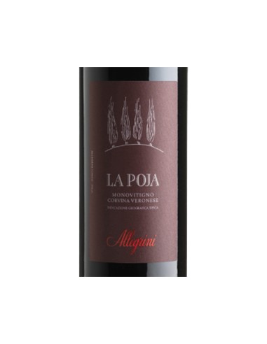 Verona IGT Corvina 'La Poja' 2018 (750 ml.) Allegrini Allegrini - 2