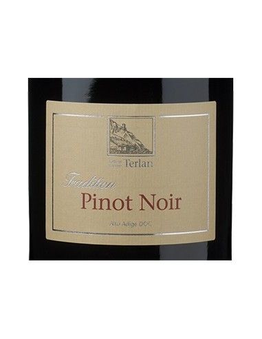 Alto Adige DOC Pinot Noir 2024 (750 ml.) Terlan Terlan - 2