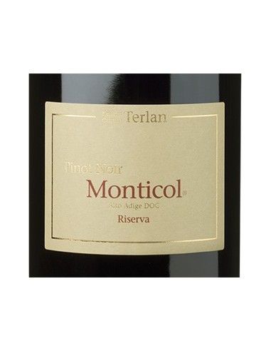 Alto Adige Riserva DOC Pinot Nero 'Monticol' 2022 (750 ml.) Terlan Terlan - 2