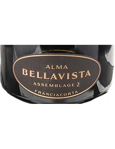 Franciacorta DOCG Extra Brut 'Alma Assemblage 2' (750 ml.) Bellavista Bellavista - 2