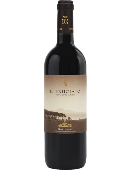 Bolgheri Rosso DOC 'Il Bruciato' 2024 (750 ml.) Antinori Antinori - 1
