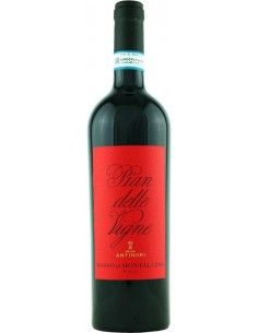 Rosso di Montalcino DOC 'Pian delle Vigne' 2024 (750 ml.) Antinori Antinori - 1