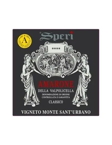 Amarone della Valpolicella Classico DOCG 'Vigneto Monte Sant'Urbano' 2012 (750 ml cassetta in legno) Speri Speri - 3
