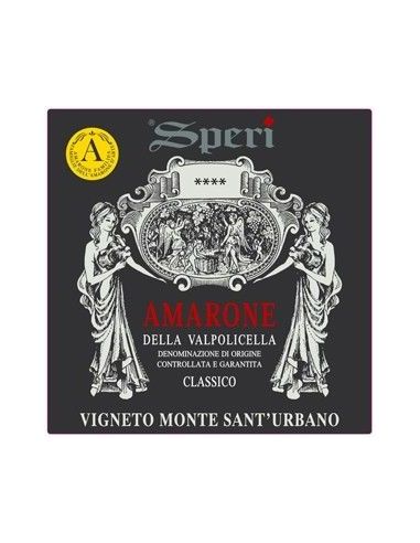 Amarone della Valpolicella Classico DOCG 'Vigneto Monte Sant'Urbano' 2012 (750 ml wooden box) Speri Speri - 3