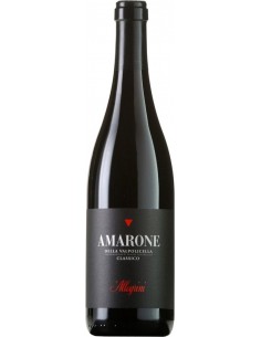 Red Wines - Amarone della Valpolicella Classico DOCG 2013 (750 ml.) - Allegrini - Allegrini - 1