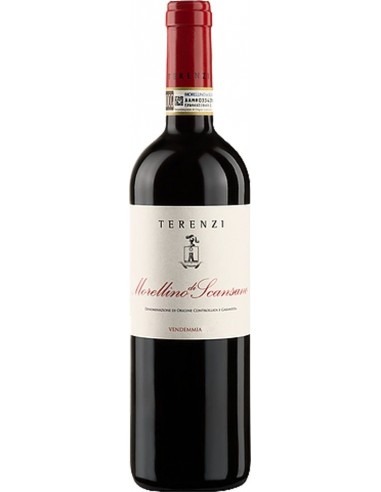Vini Rossi - Morellino di Scansano DOCG 2016 (750 ml.) - Terenzi - Terenzi - 1 Vini Rossi - Morellino di Scansano DOCG 2016 (750 ml.) - Terenzi - Terenzi - 1