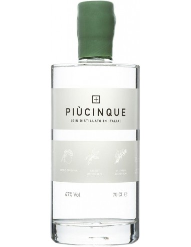 Gin - Gin 'Piu' Cinque' (700 ml.) - Three Spirits - Three Spirits - 1